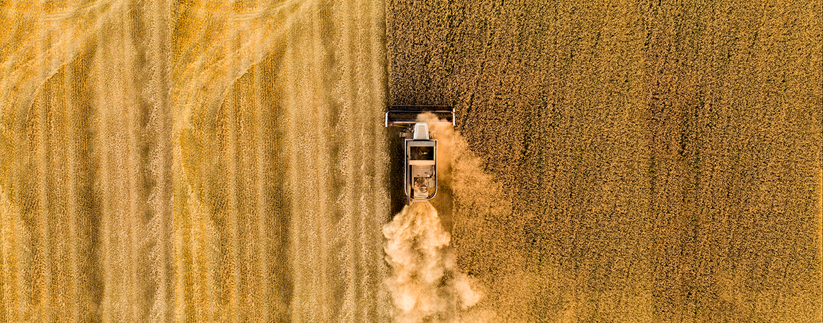 Agricoltura 4.0 | Agricoltura 4.0 shutterstock 2236680013 | Agricoltura 4.0
